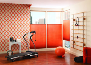 orange color palette for fitness area
